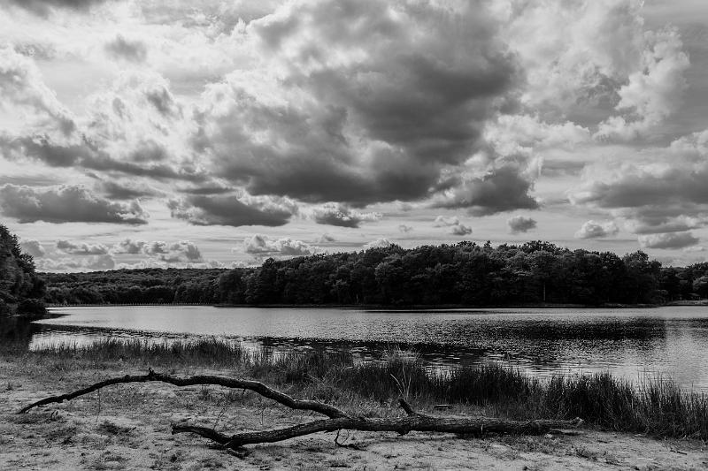 2017_09_03_Etang du Merle (0027).jpg - Etang du Merle (septembre 2017)